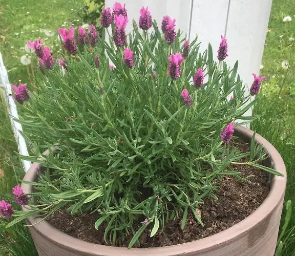 Frühstückspension Zen Et Calme 4*