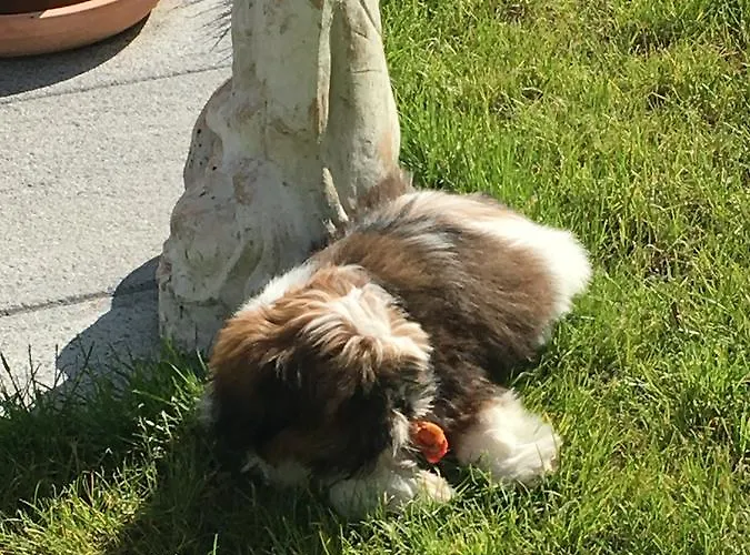 Frühstückspension Zen Et Calme 4*